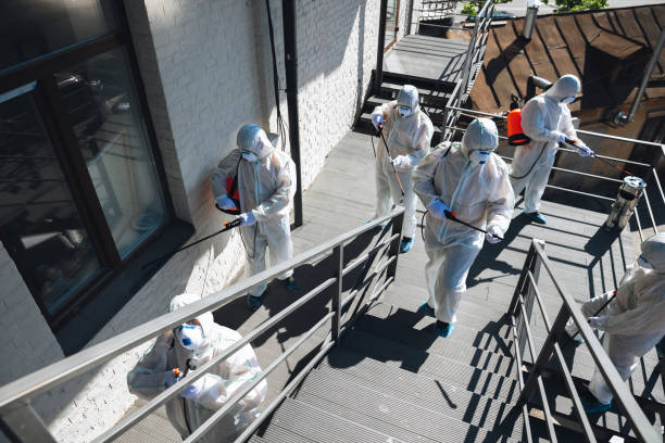 Best Industrial Mold Remediation  in Jackson, SC