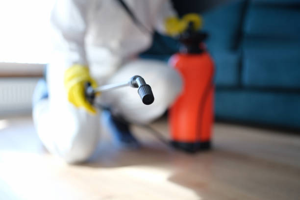 Best HVAC Mold Inspection and Cleaning  in Jackson, SC