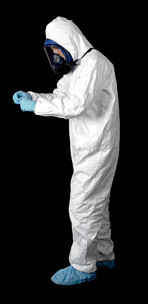 Reliable Jackson, SC Mold Removal Solutions