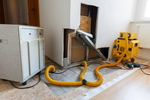 Best Attic Mold Removal  in Jackson, SC