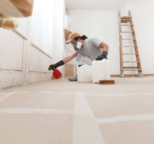 Environmental Consulting for Mold Prevention in Jackson, SC