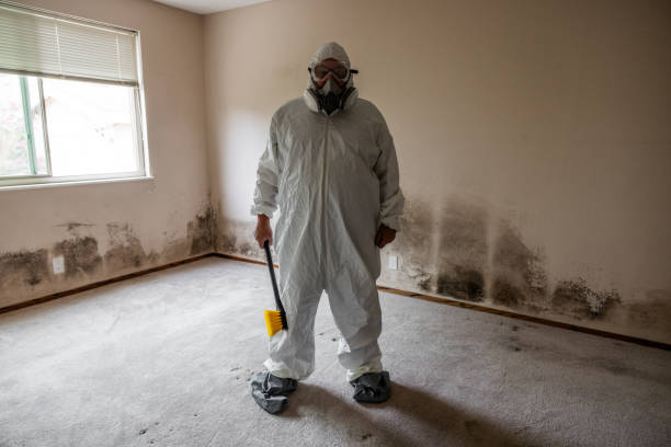 Best Post-Construction Mold Inspection  in Jackson, SC